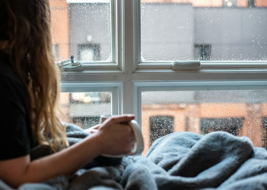 amin-hasani-7Z_2iKq9Nw8-unsplash.jpg